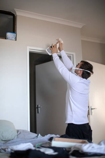  Copperas Cove, TX Mold Removal Pros