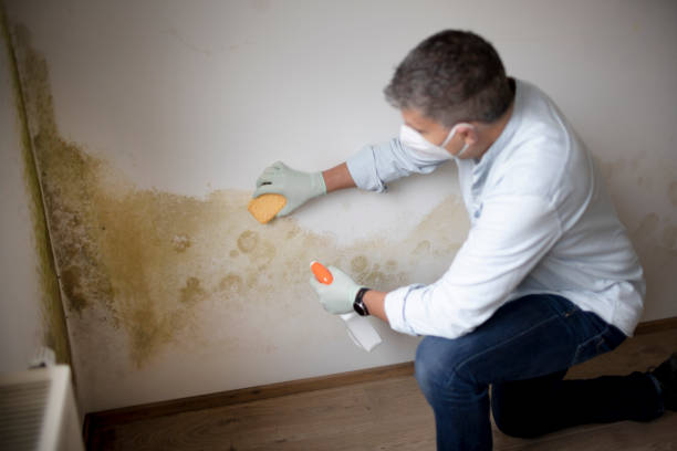 Best Airborne Mold Testing  in Copperas Cove, TX