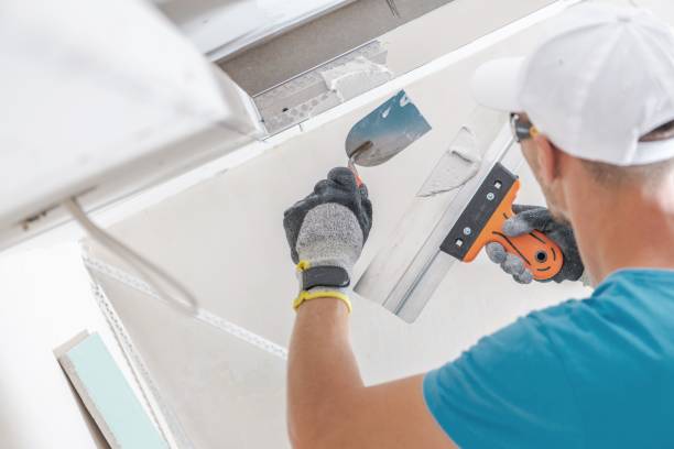 Best Attic Mold Removal  in Copperas Cove, TX